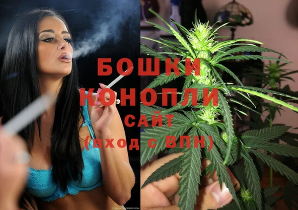 амф Гатчина