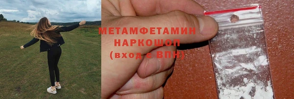 шишки Гвардейск