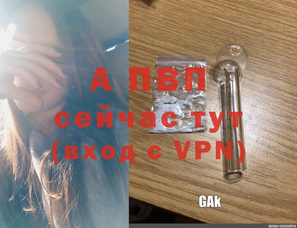трава Сосновоборск