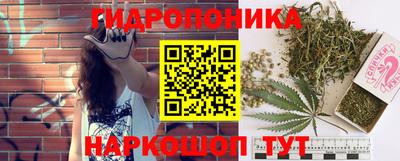 крисы Апрелевка