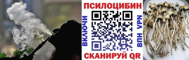 Псилоцибиновые грибы Psilocybine cubensis  дарк нет как зайти  Белебей  где найти наркотики 