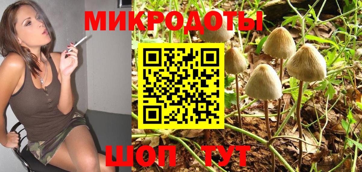 Псилоцибиновые грибы MAGIC MUSHROOMS  Псилоцибиновые грибы Psilocybe  что такое наркотик  Белебей 
