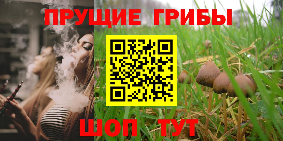 Псилоцибиновые грибы MAGIC MUSHROOMS Белебей